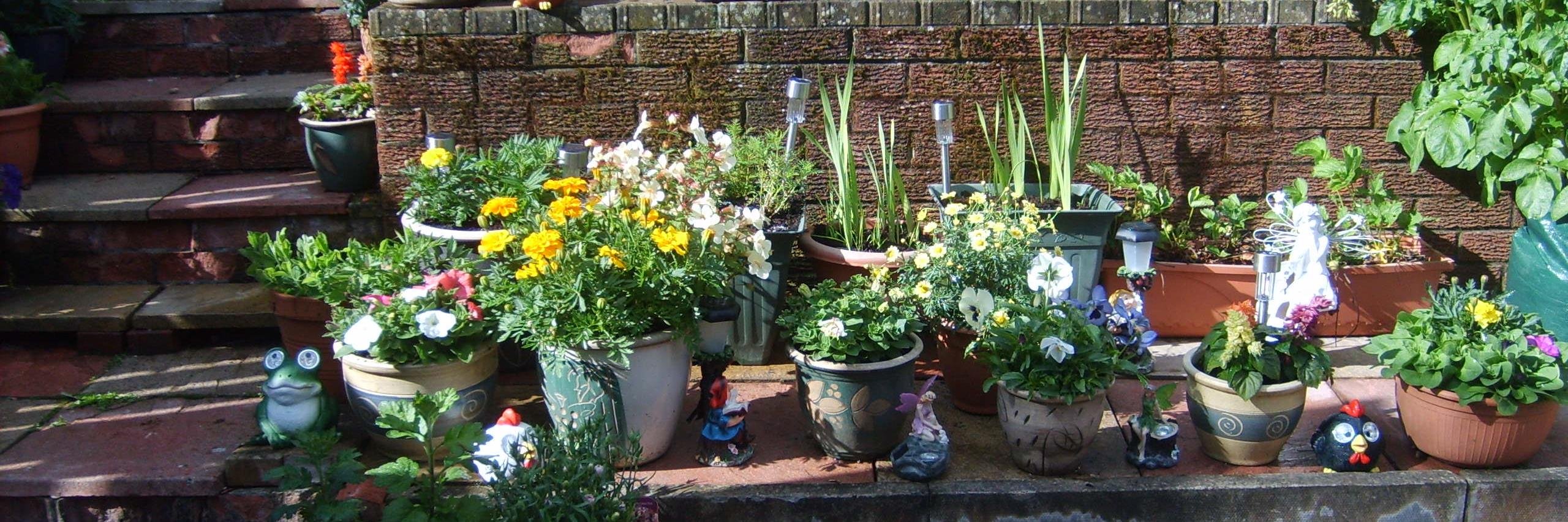 sheila1482's profile banner image