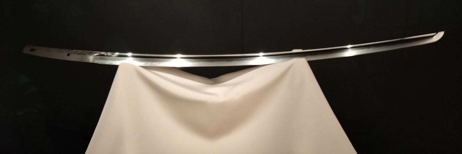 ramunecos's profile banner image
