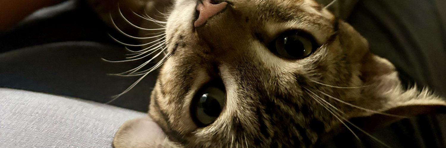 iisatorre's profile banner image