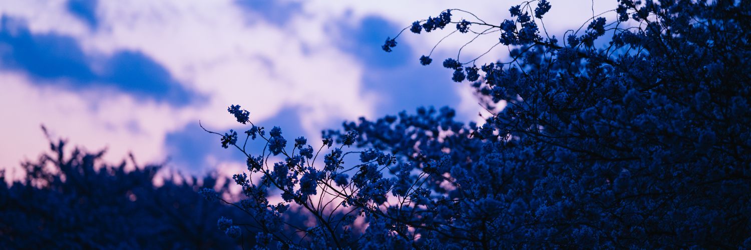 blackpepper31's profile banner image
