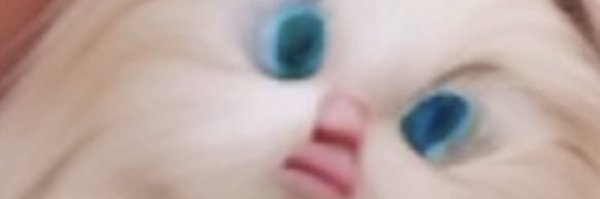 MandyCandy Profile Banner