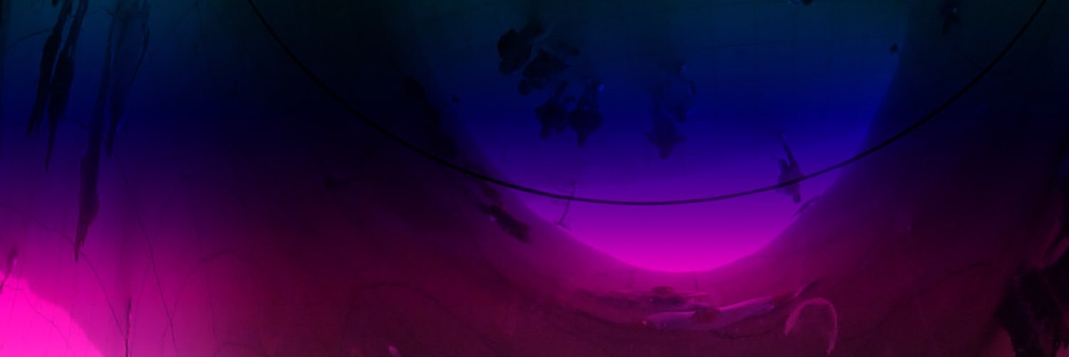 DJpooky's profile banner image