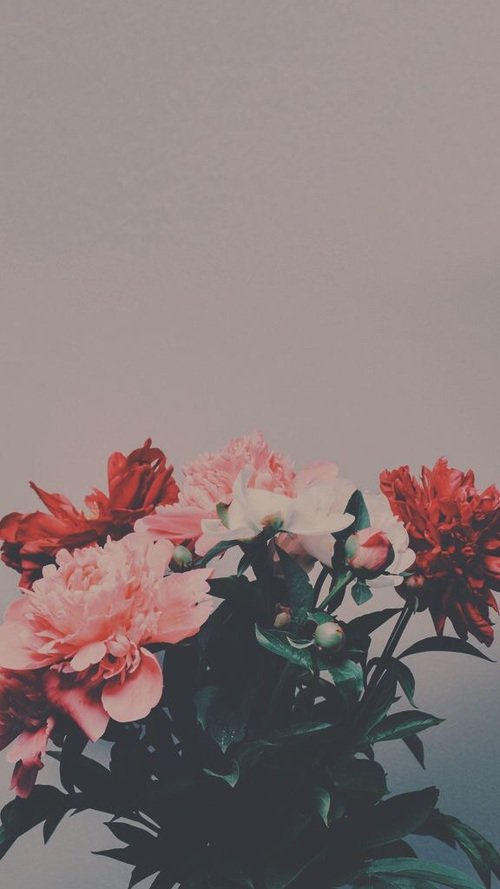 desypusss's profile banner image