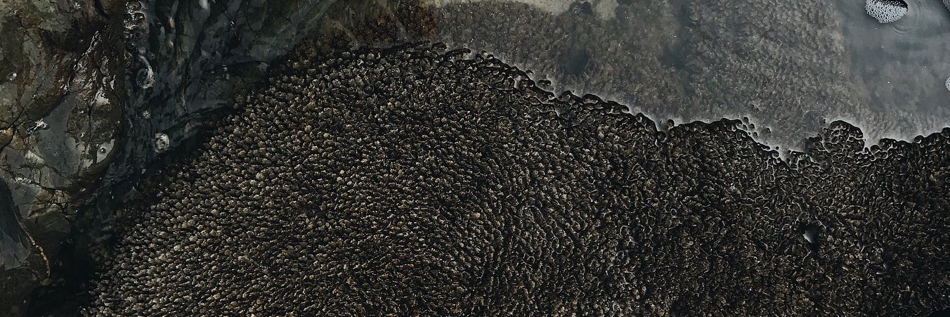 egoptichka's profile banner image