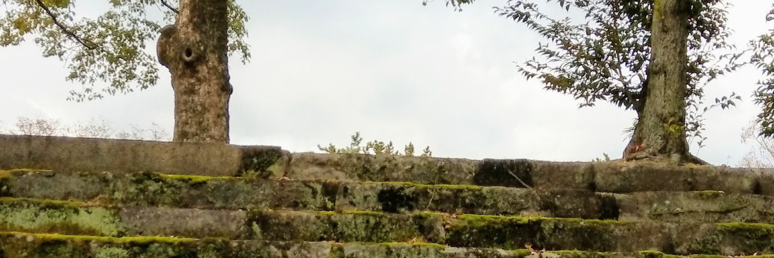 estherbailey's profile banner image