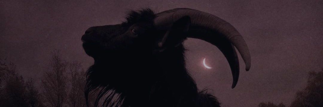osaviotti's profile banner image