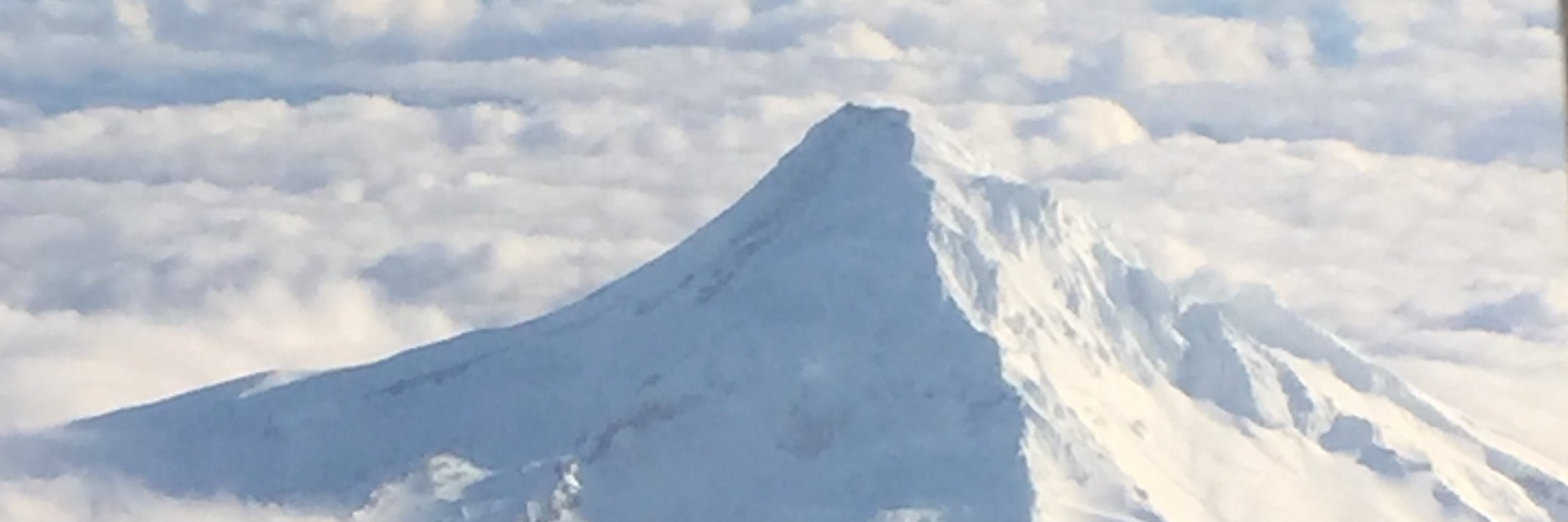 Jay C. Percell banner