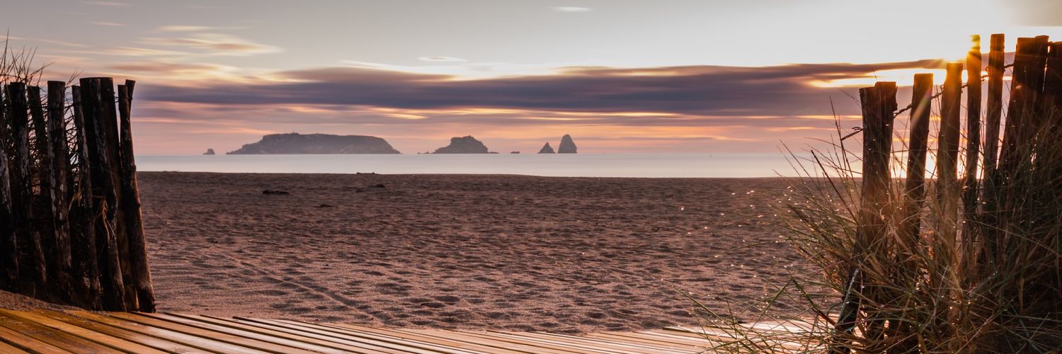 Julia_RoComas's profile banner image