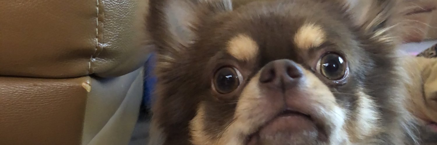 iZay97's profile banner image