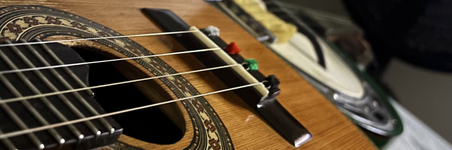 brunoicp's profile banner image