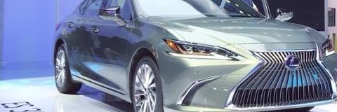 Thảo Vân Xinh banner