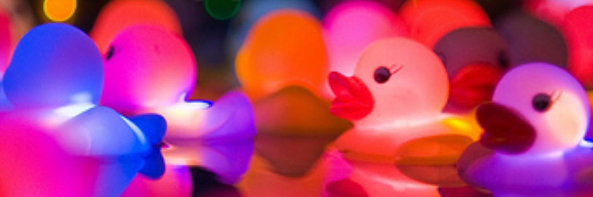 PickyDucky's profile banner image
