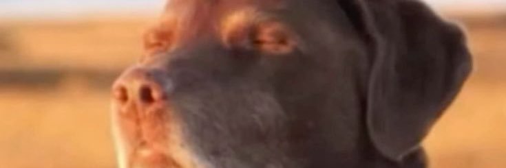 jimothy2022's profile banner image