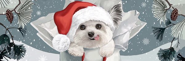 NorbertDog Profile Banner