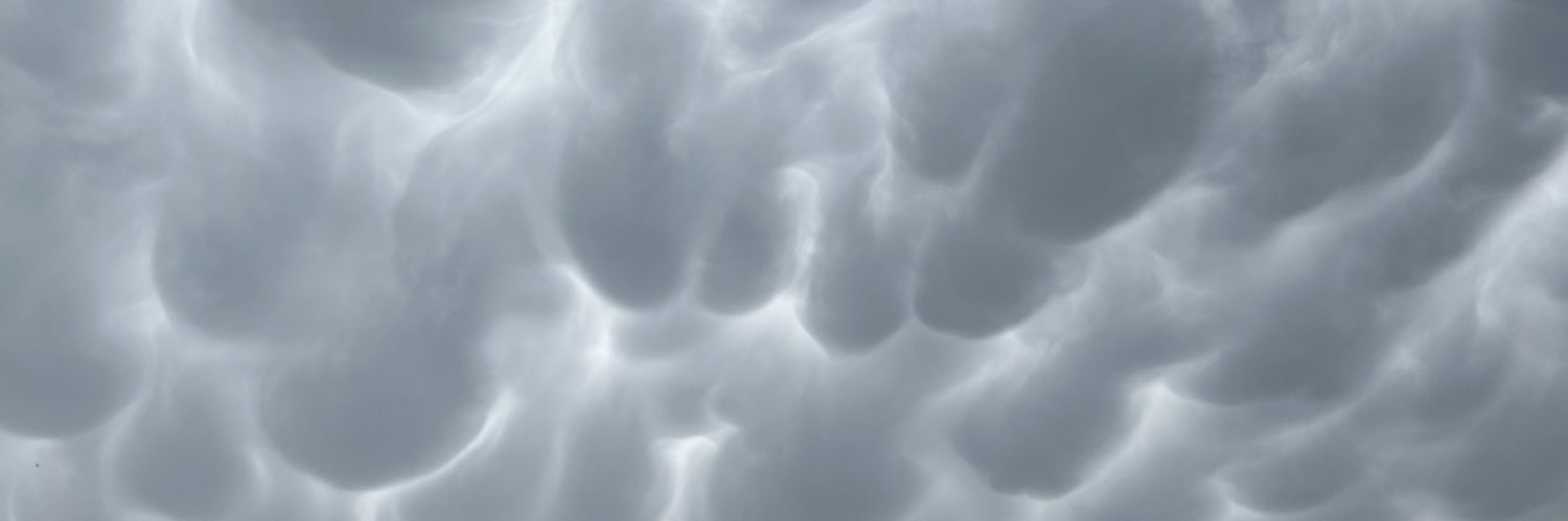 jared_holthaus's profile banner image