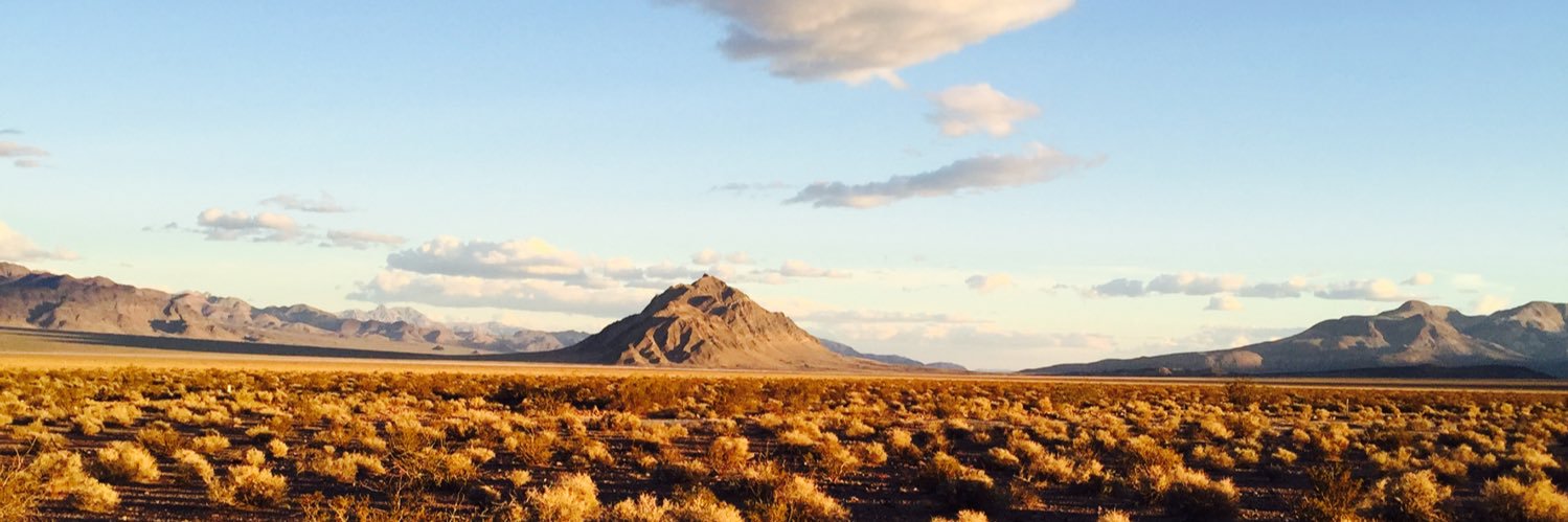 Desert Advocate banner