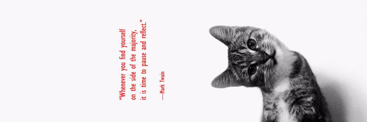 PedroEP's profile banner image