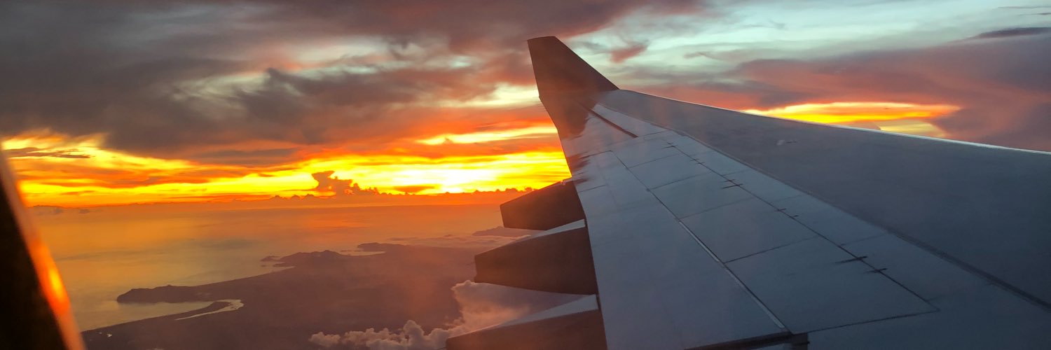 LilyZ0809's profile banner image