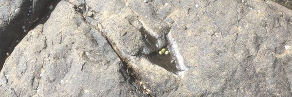 drandygardner Profile Banner