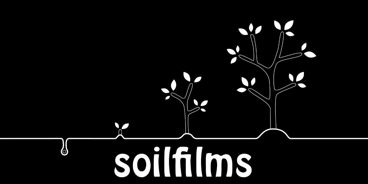 soilfilms's profile banner image