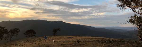 ross1ross Profile Banner