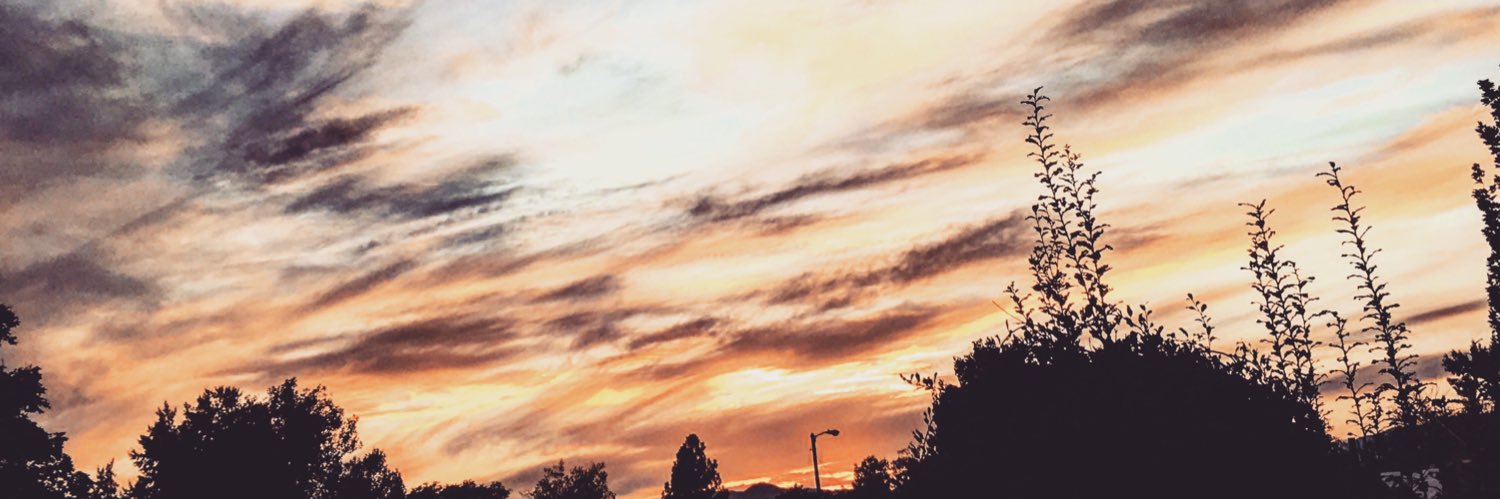 evanlion98's profile banner image