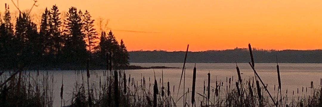 timzick's profile banner image