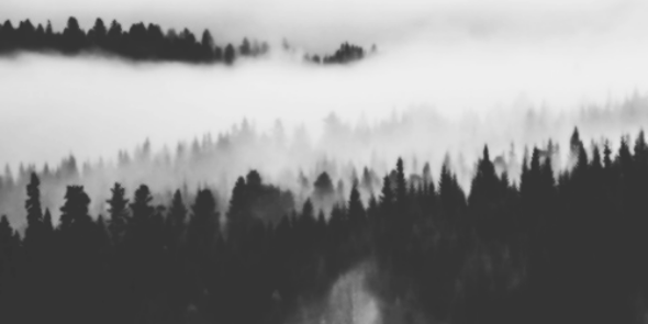 austinRPGTTS's profile banner image