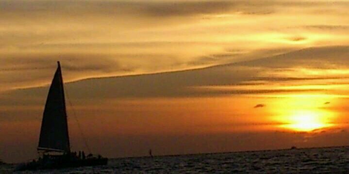salaz_salas's profile banner image