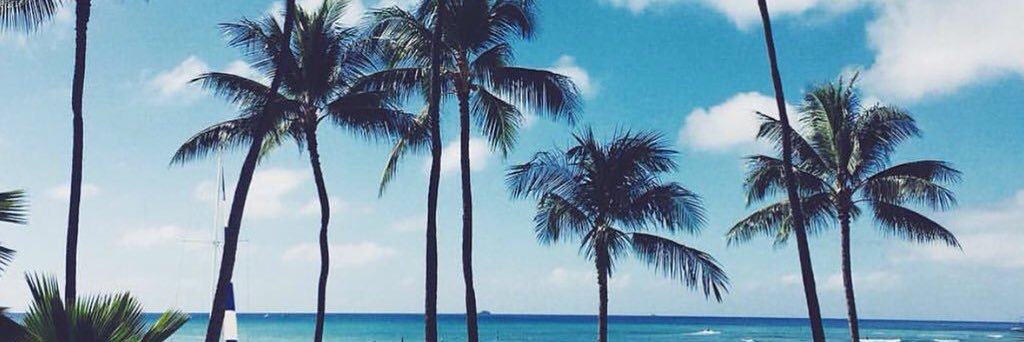 mjrivas9's profile banner image