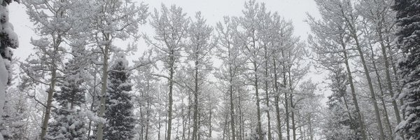 MJ_GoGaels Profile Banner