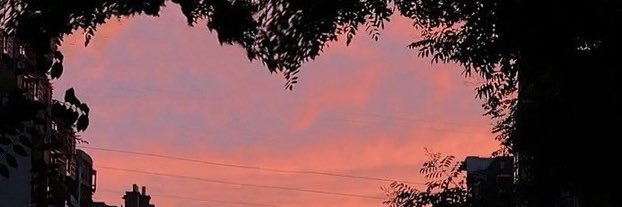 rosettamb_'s profile banner image