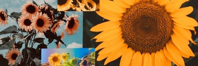 _inspireDream's profile banner image