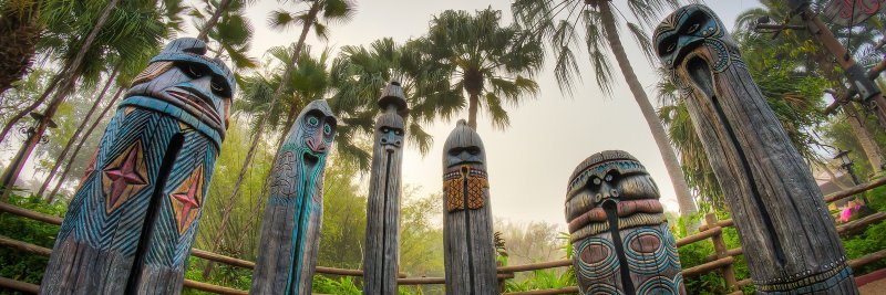 KnoWDW's profile banner image