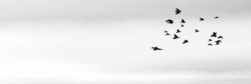 isacfts's profile banner image