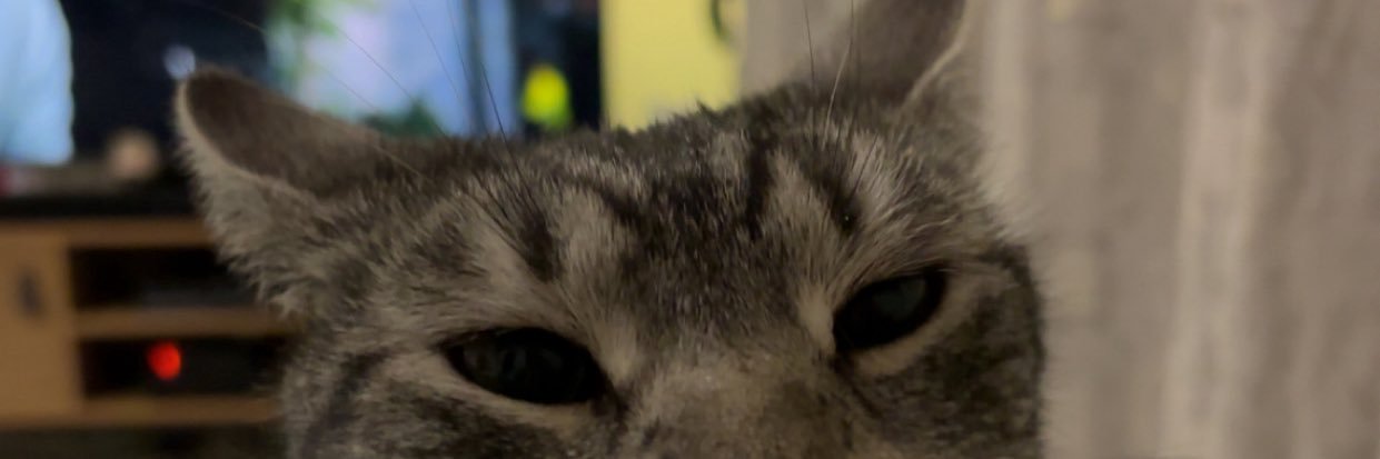 ChloayB's profile banner image