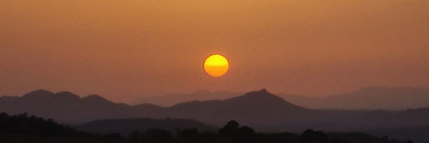 slade wilson 🔻🇵🇸 banner