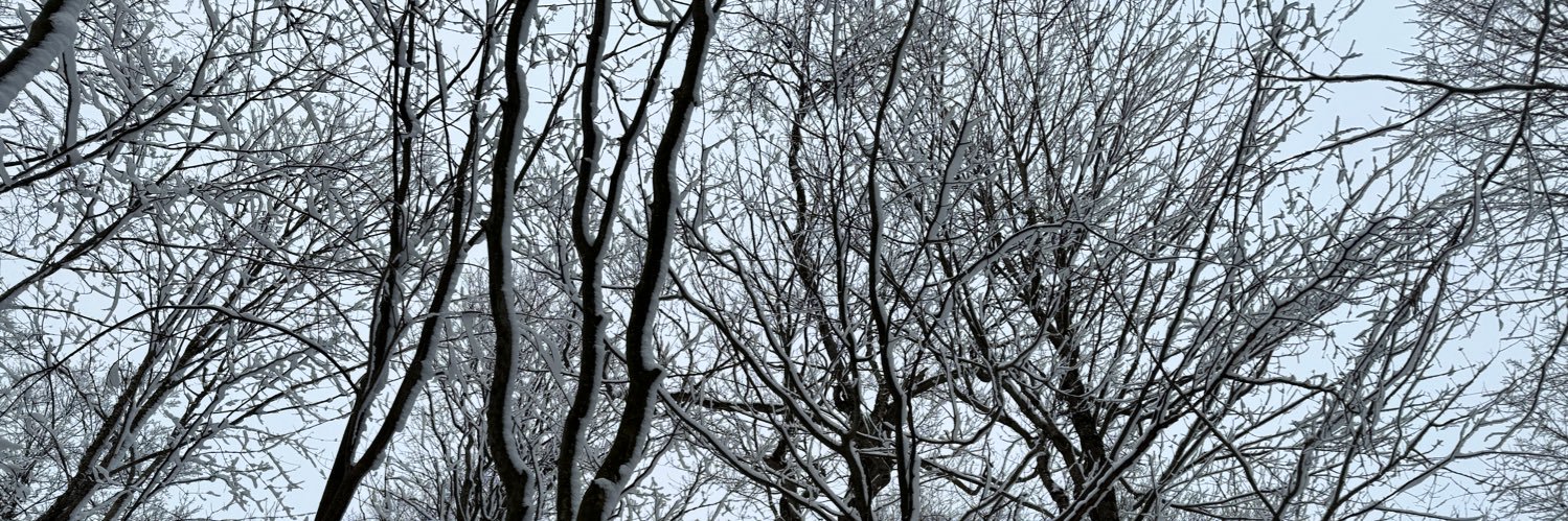 Dominic Longpré banner