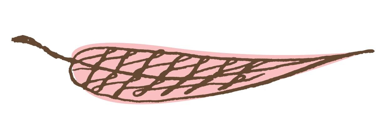 ScribblerPink's profile banner image