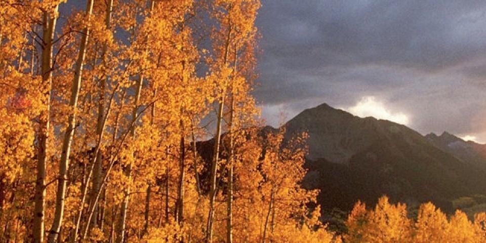 DaaniaFerris's profile banner image