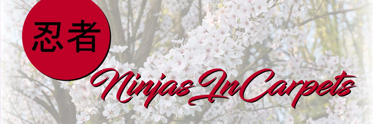 NinjasInCarpets's profile banner image