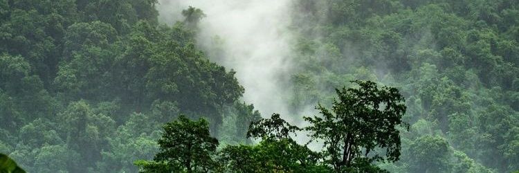 TulinkisaN's profile banner image