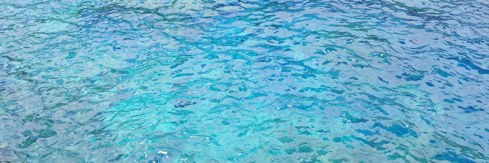 mari carmen garcia banner