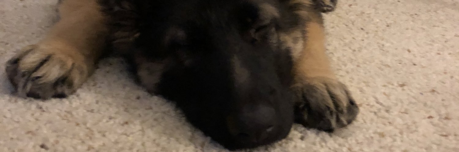 wallEEE4's profile banner image