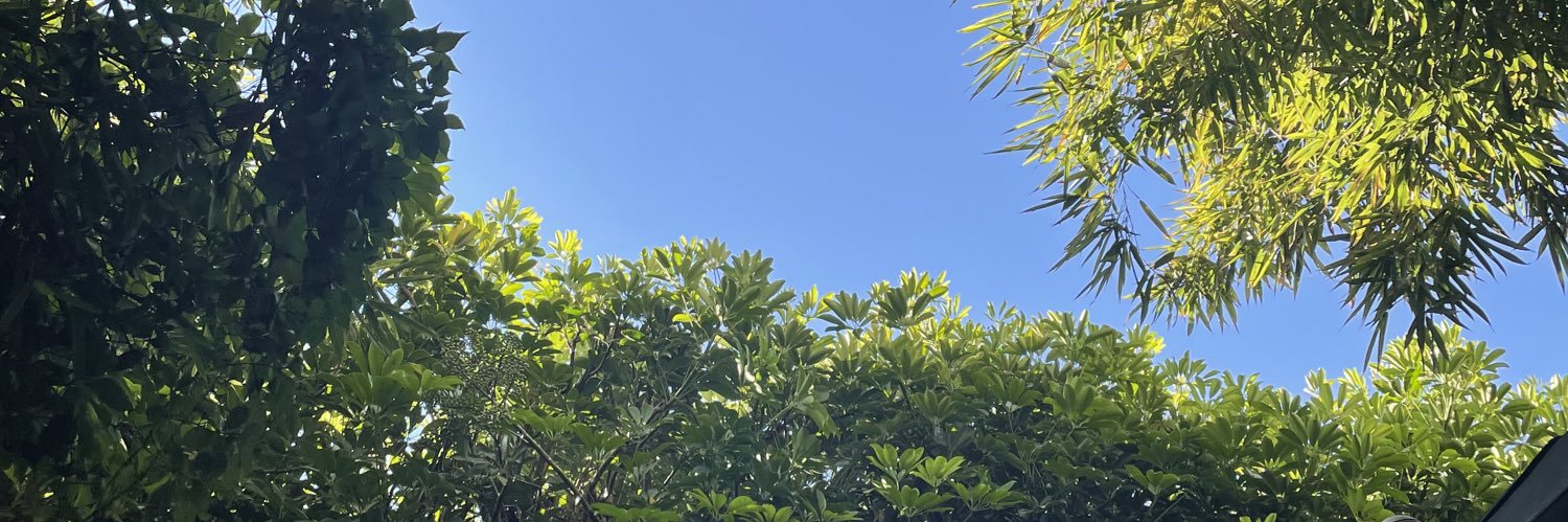 sharonmps11's profile banner image