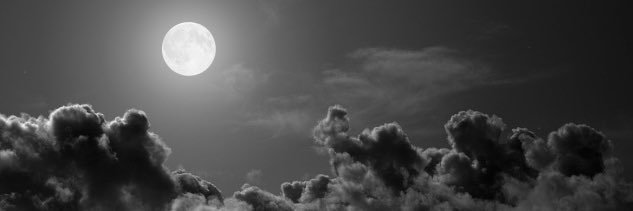 rialsasi's profile banner image