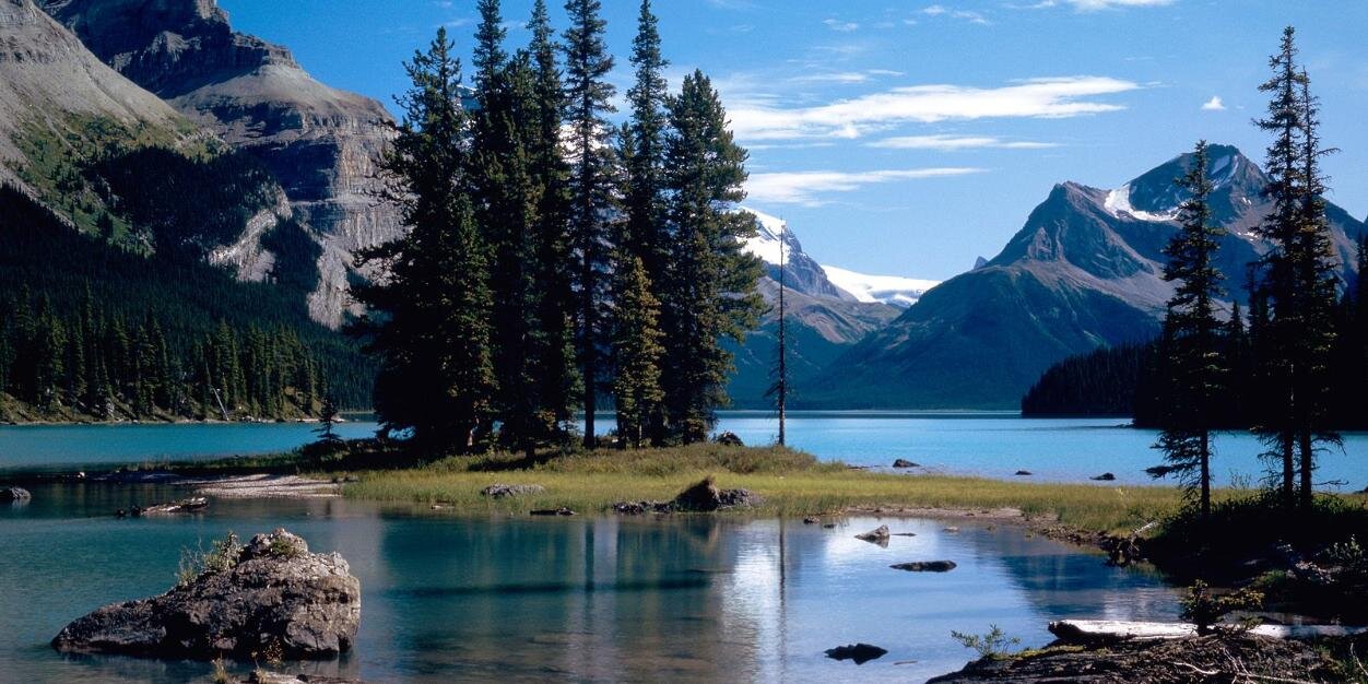 GO Customer Service banner