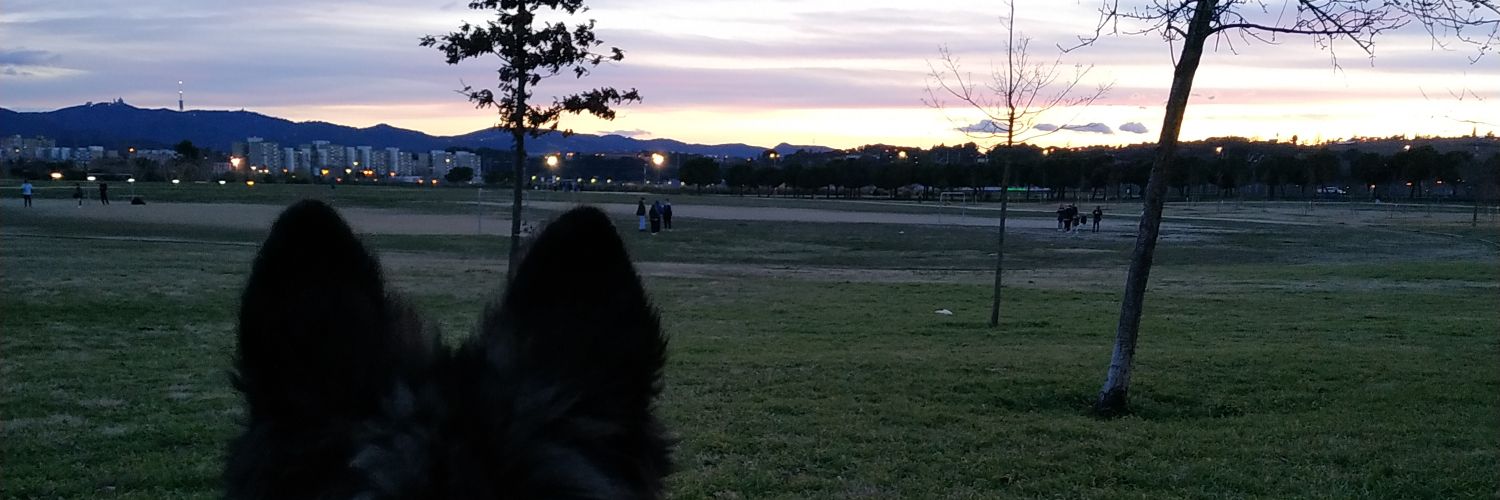 cristinyWTF's profile banner image