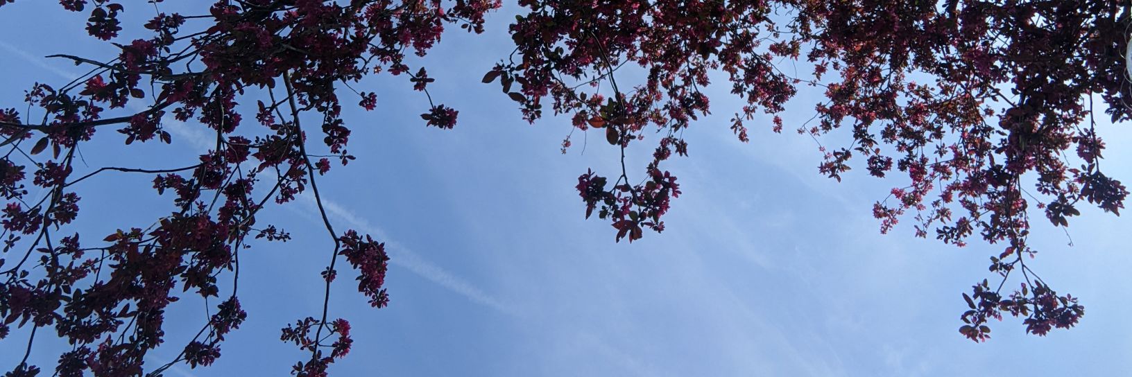 breezeybee_'s profile banner image