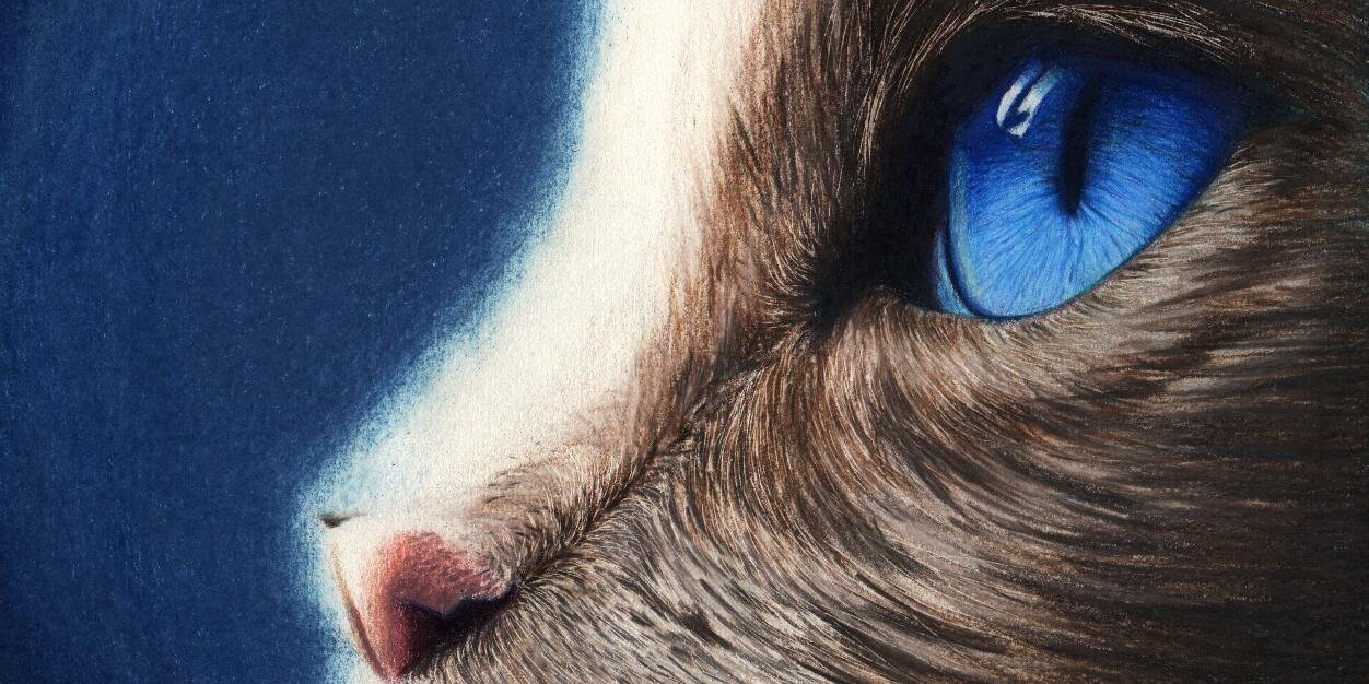 helgadrawsstuff's profile banner image